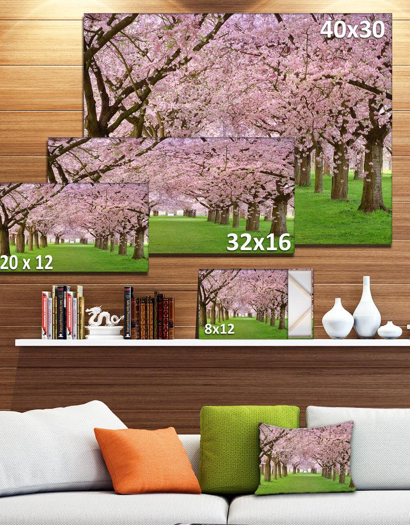 DesignQ Stunning Cherry Blossoms Plenitude - Landscape Art Print Canvas