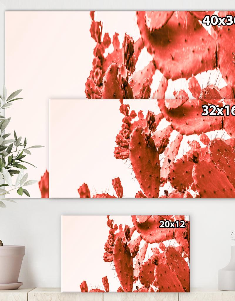 DesignQ Succulent Cactus Plant Part Close Up Under The Sunlight Sky Ll - Tropical Canvas Wall Art