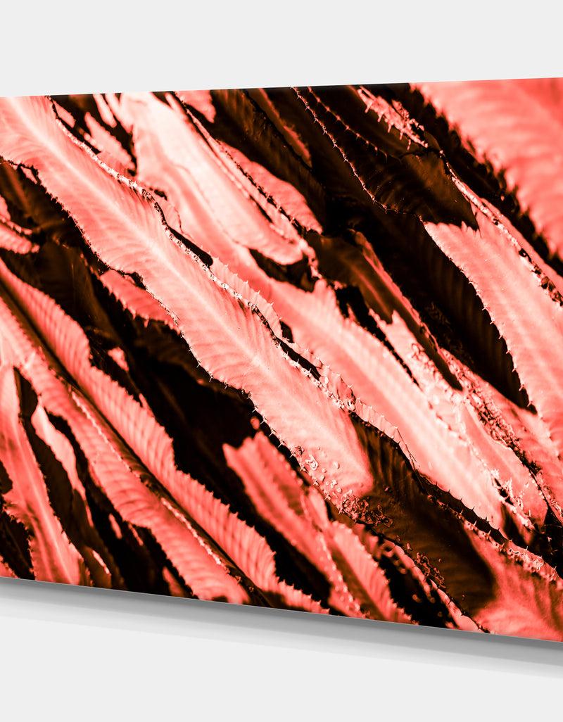 DesignQ Succulent Cactus Plant Part Close Up Under The Sunlight Sky L - Tropical Canvas Wall Art