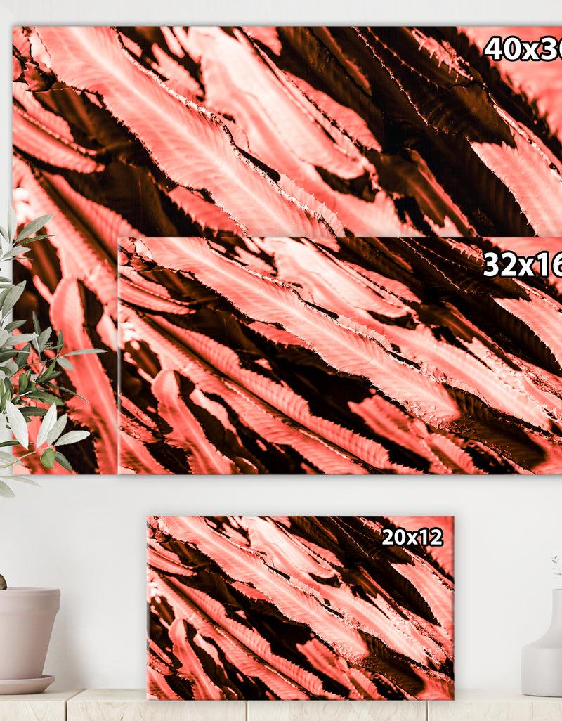 DesignQ Succulent Cactus Plant Part Close Up Under The Sunlight Sky L - Tropical Canvas Wall Art