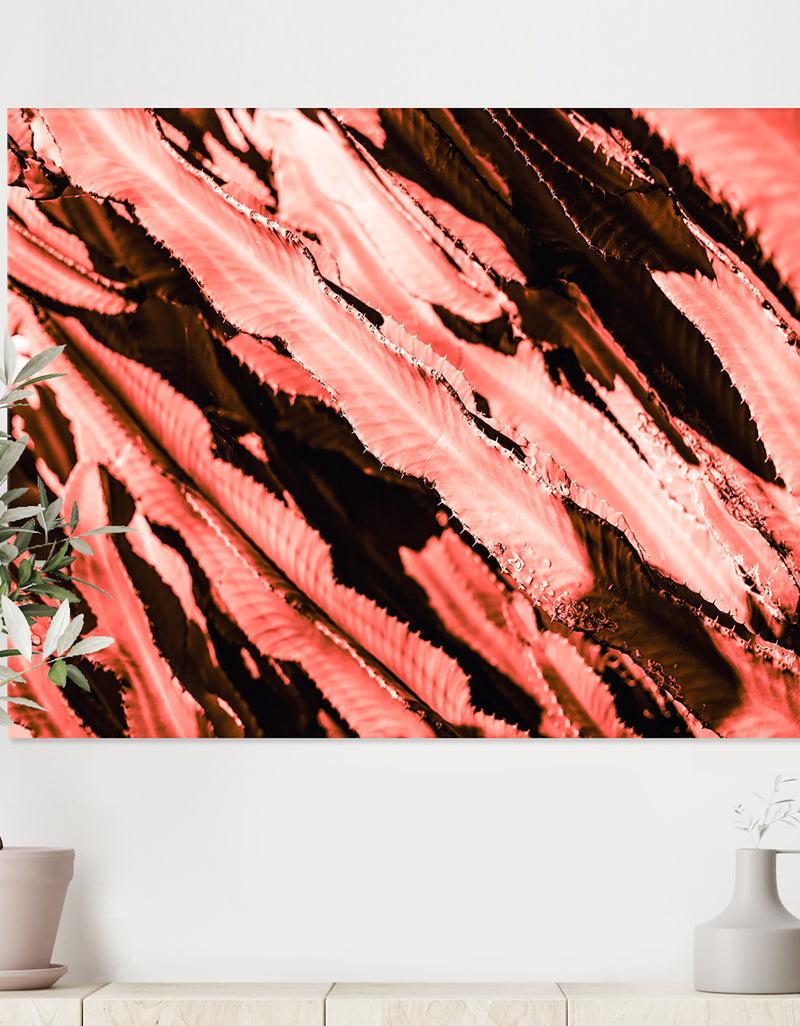 DesignQ Succulent cactus plant part close up under the sunlight sky l - Tropical Canvas Wall Art