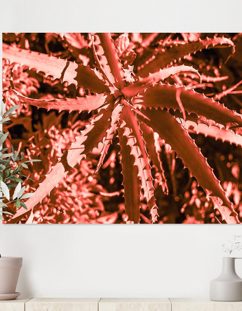 DesignQ Succulent cactus plant part close up under the sunlight sky - Tropical Canvas Wall Art