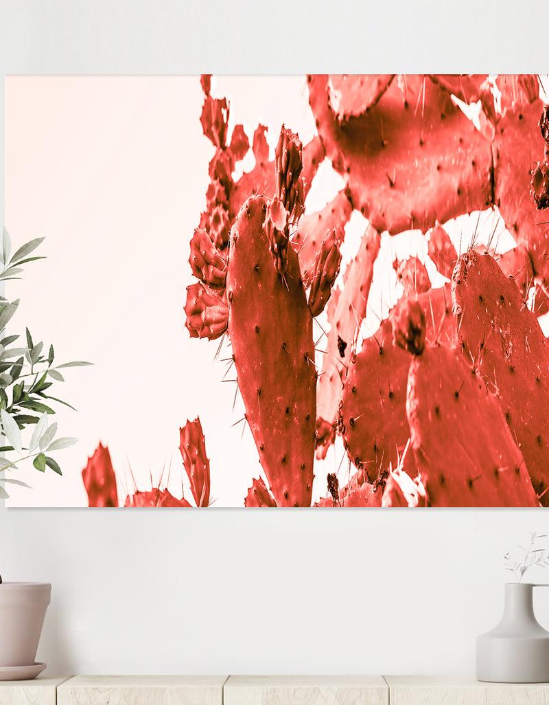 DesignQ Succulent Cactus Plant Part Close Up Under The Sunlight Sky Ll - Tropical Canvas Wall Art