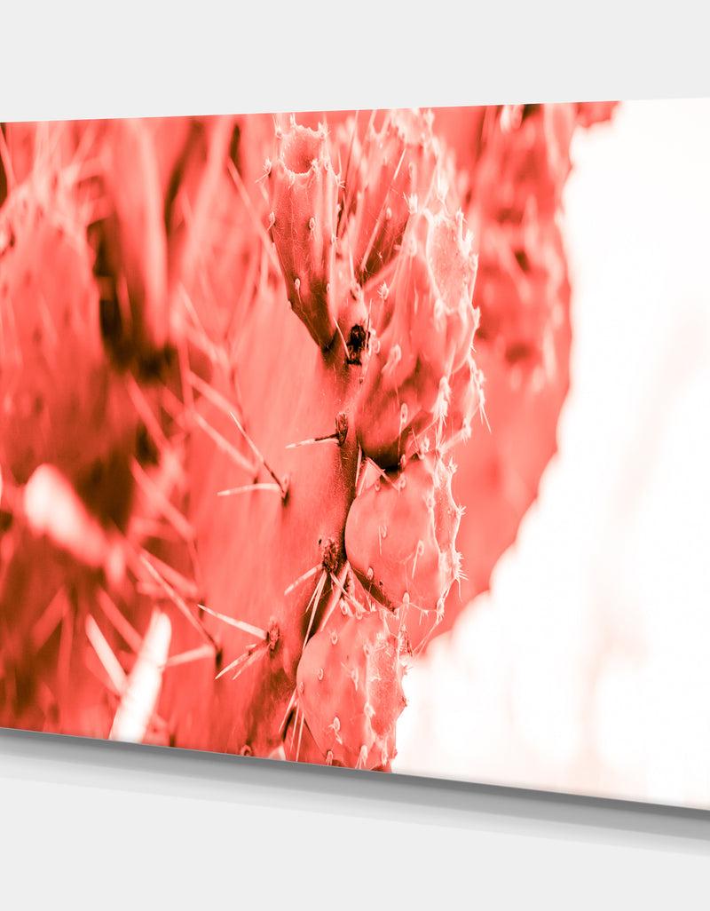 DesignQ Succulent Cactus Plant Toned In Living Coral Color - Tropical Canvas Wall Art