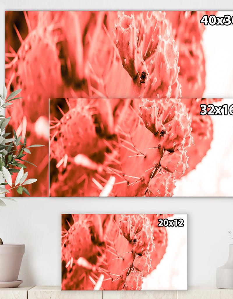 DesignQ Succulent Cactus Plant Toned In Living Coral Color - Tropical Canvas Wall Art