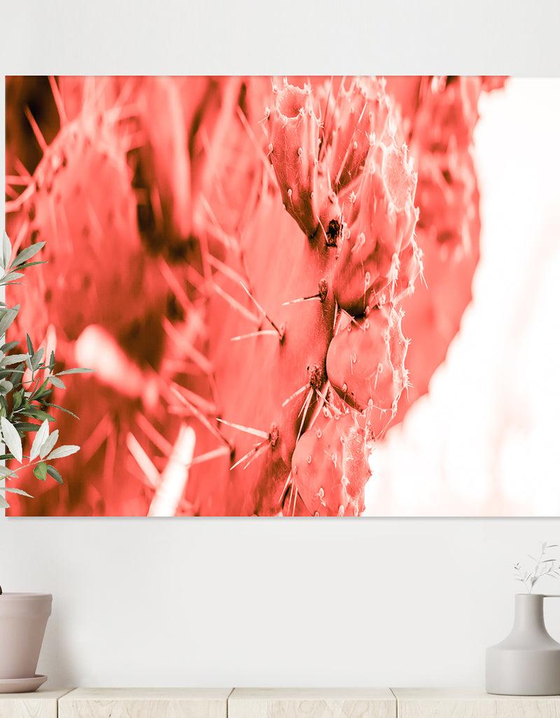 DesignQ Succulent cactus plant toned in living coral color - Tropical Canvas Wall Art