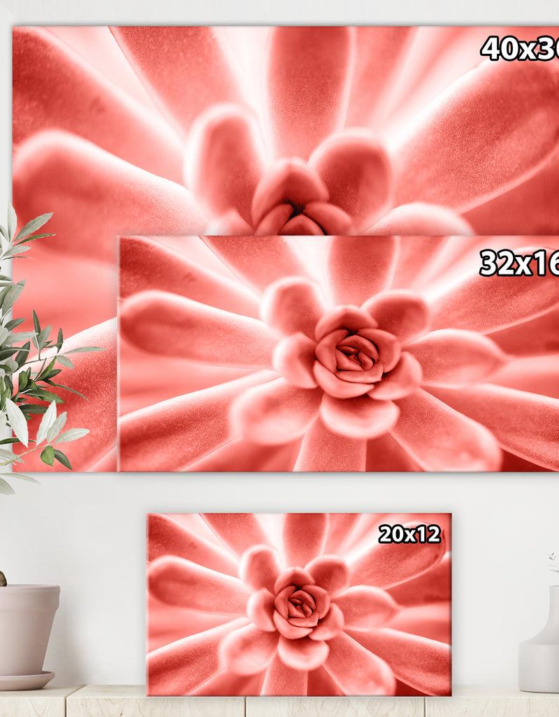DesignQ Succulent Plant In Living Coral - Tropical Canvas Wall Art