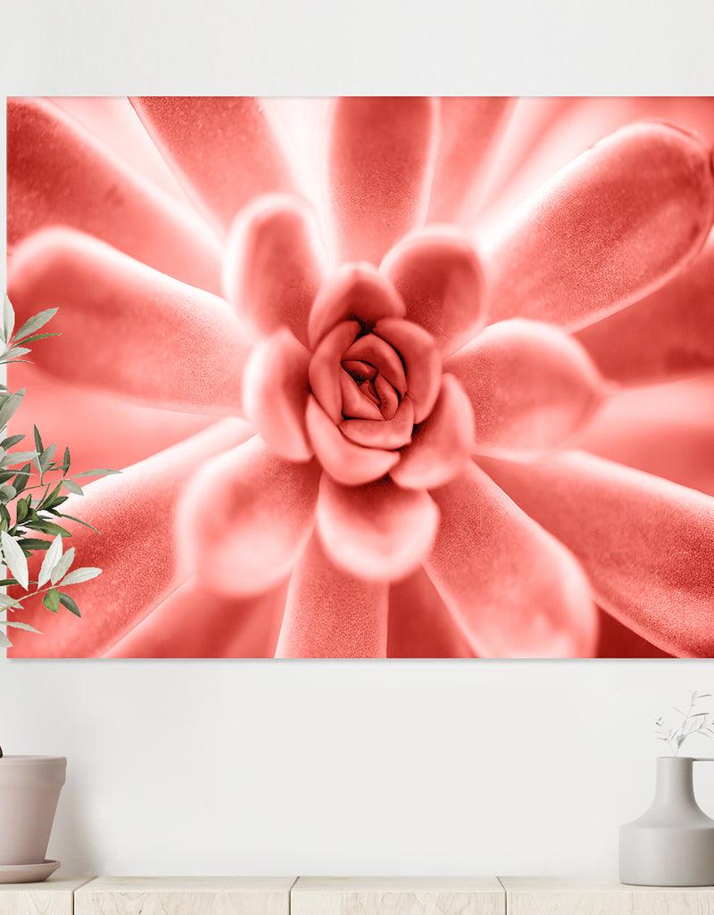 DesignQ Succulent Plant In Living Coral - Tropical Canvas Wall Art