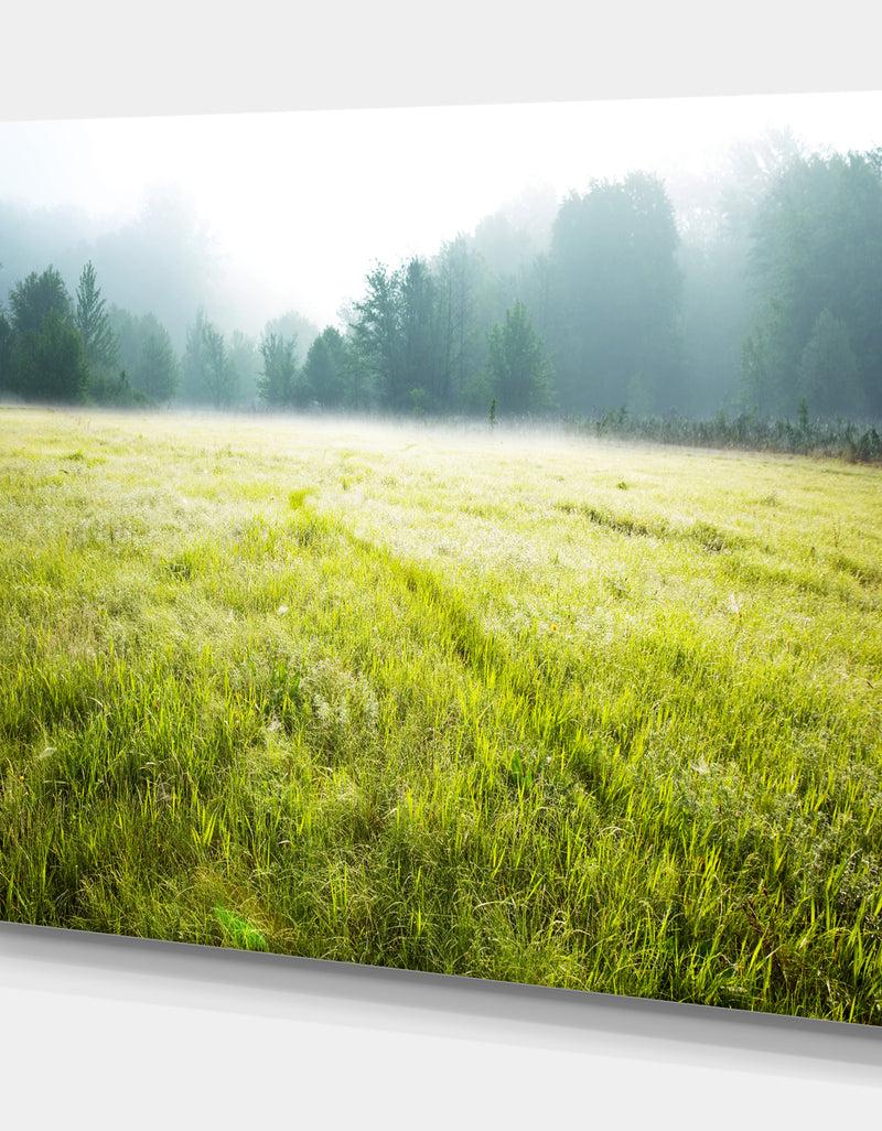 DesignQ Summer Meadow - Lake Landscapes Photographic On Wrapped Canvas