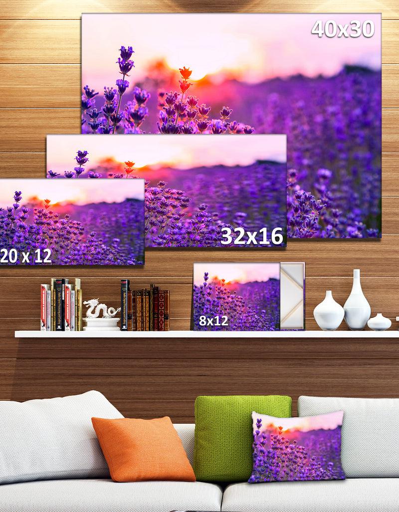 DesignQ Summer Sunset Over Lavender Field - Large Floral Canvas Art Print