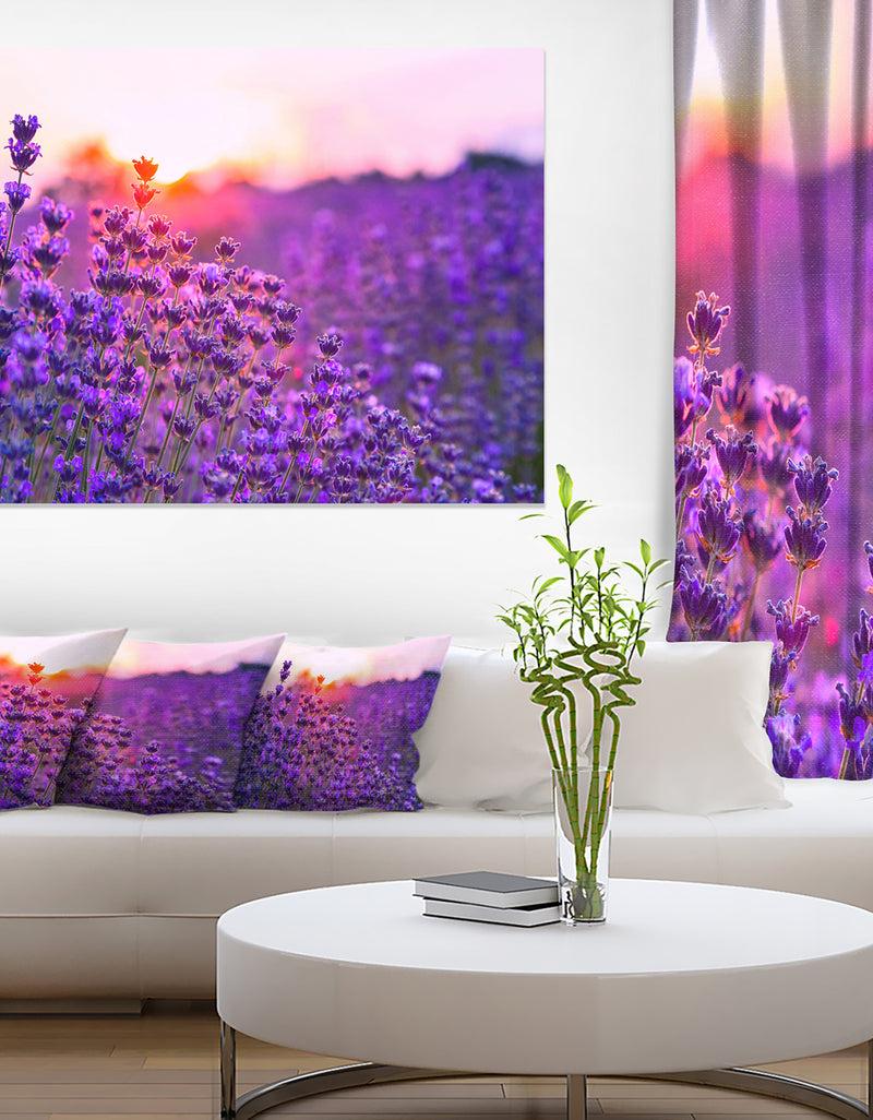DesignQ Summer Sunset over Lavender Field - Large Floral Canvas Art Print
