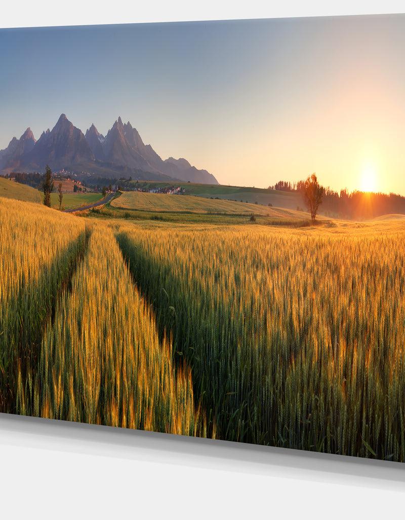 DesignQ Summer Wheat Fields Slovakia - Landscape Artwork Canvas
