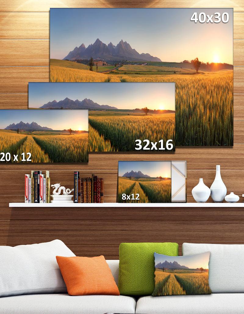 DesignQ Summer Wheat Fields Slovakia - Landscape Artwork Canvas