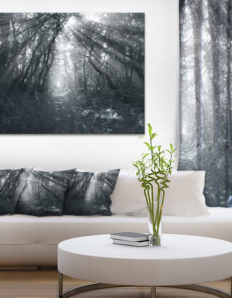 DesignQ Sun Rays Through Gray Trees - Landscape Photography Wall Art