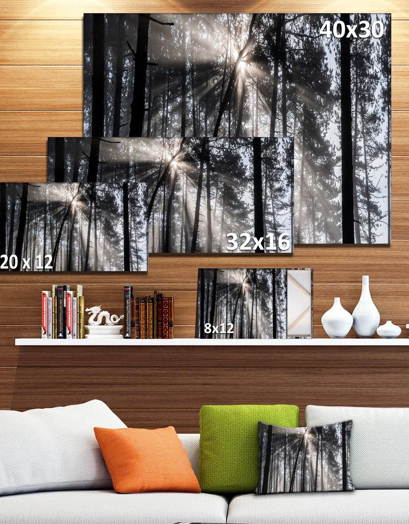 DesignQ Sunbeams Through Black White Forest - Forest Canvas Wall Art Print