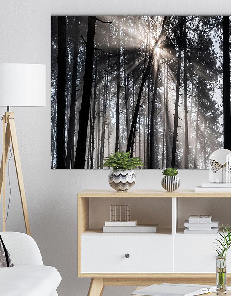 DesignQ Sunbeams through Black White Forest - Forest Canvas Wall Art Print