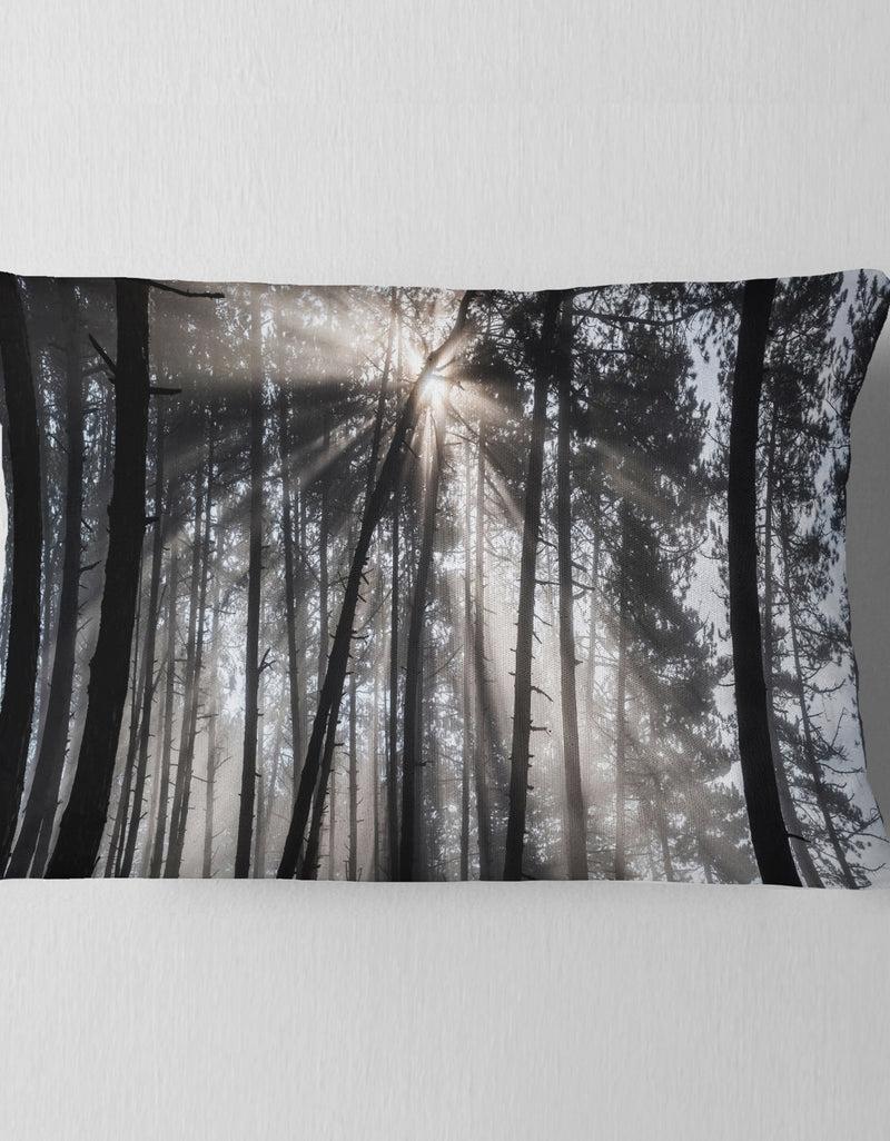 DesignQ Sunbeams Through Black White Forest - Forest Throw Pillow
