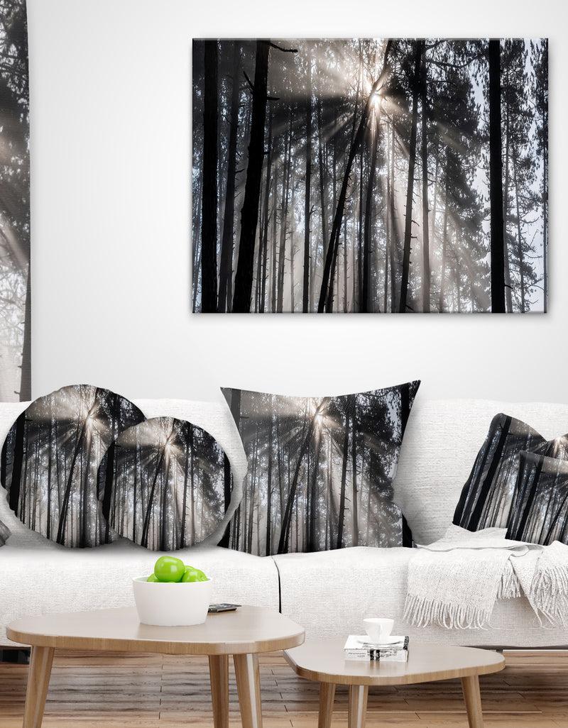 DesignQ Sunbeams through Black White Forest - Forest Throw Pillow
