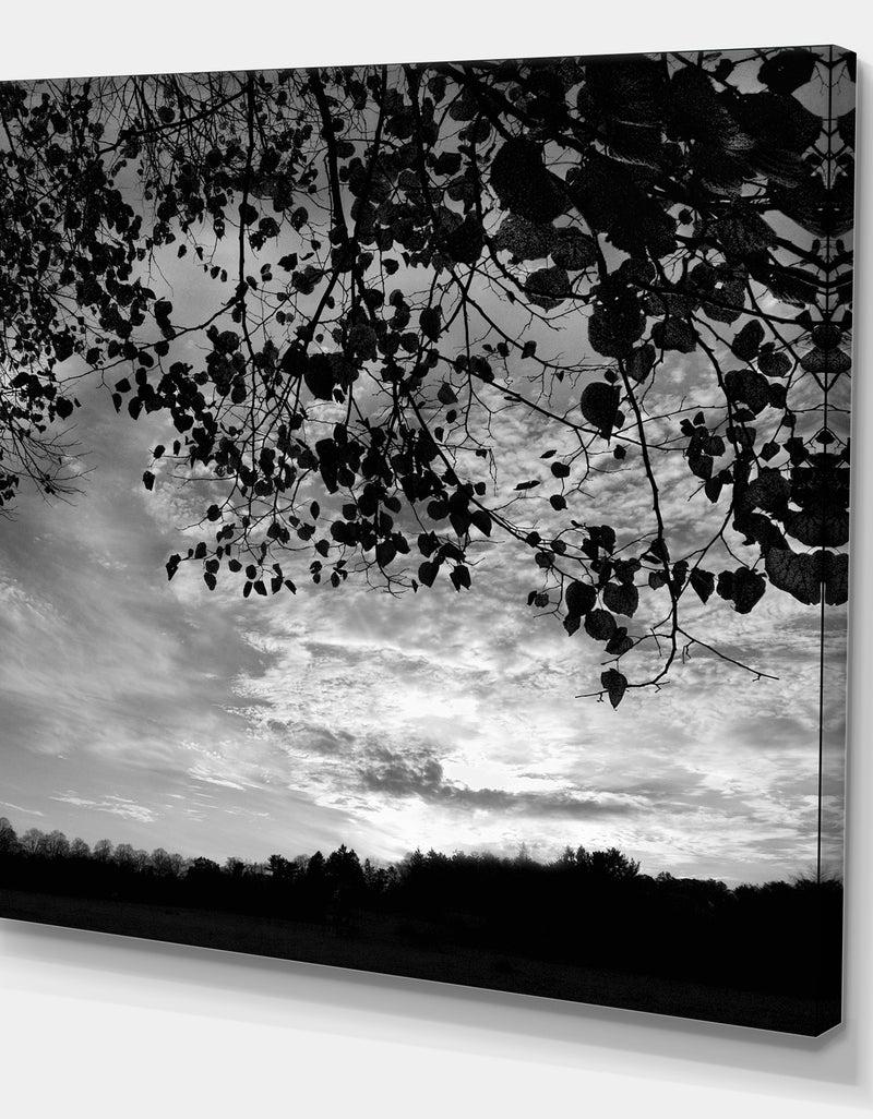DesignQ Sundown Square B&W - Cottage Premium Canvas Wall Art