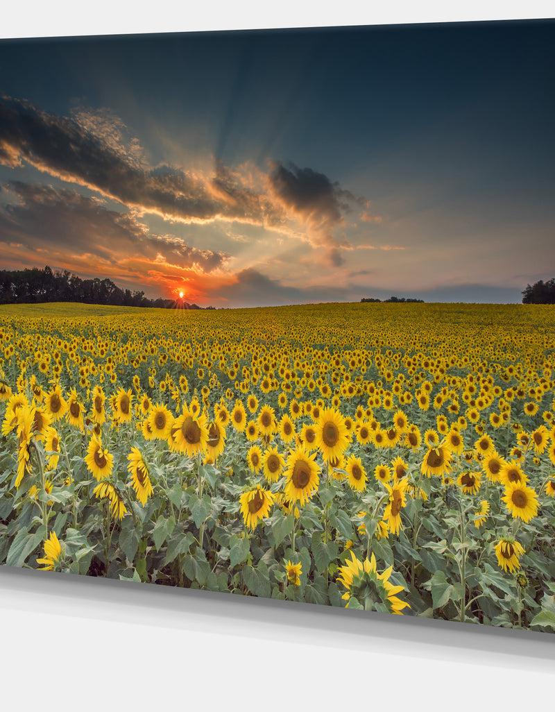 DesignQ Sunflower Sunset With Cloudy Sky - Large Landscape Canvas Art