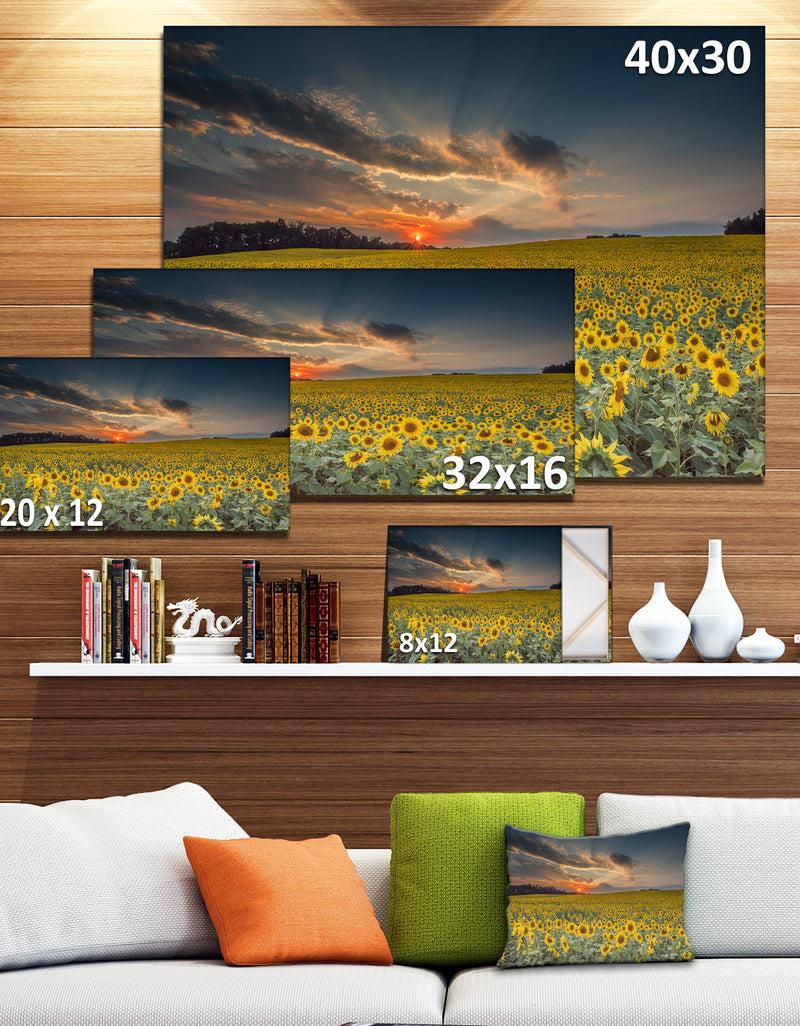 DesignQ Sunflower Sunset With Cloudy Sky - Large Landscape Canvas Art