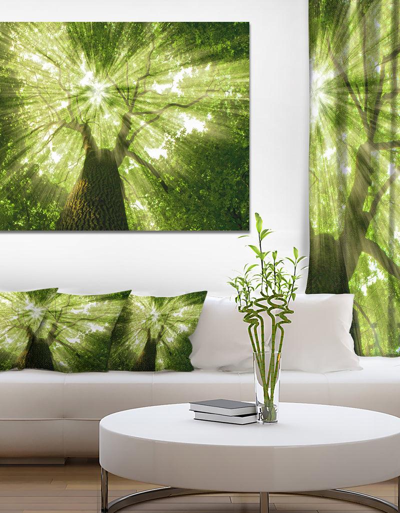 DesignQ Sunlight Peeking Through Green Tree - Landscape Large Canvas Art Print