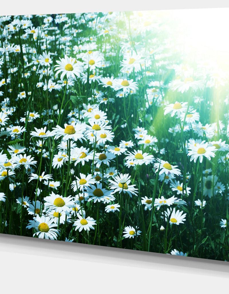 DesignQ Sunny Garden With Cute White Flowers - Large Flower Canvas Artwork
