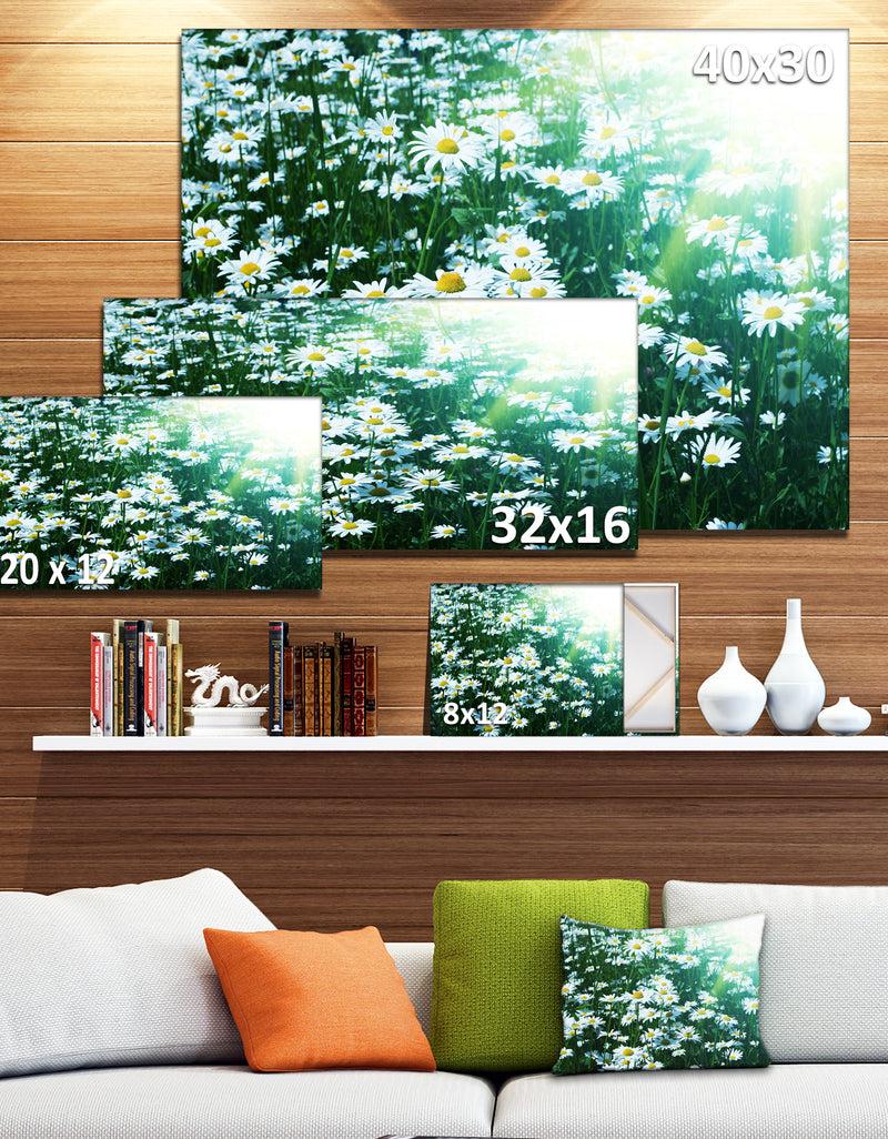 DesignQ Sunny Garden With Cute White Flowers - Large Flower Canvas Artwork
