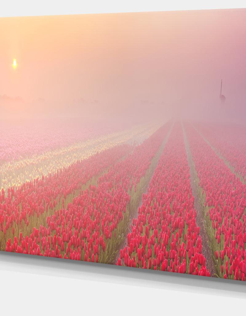 DesignQ Sunrise Over Rows Of Tulips - Landscape Wall Art Canvas Print