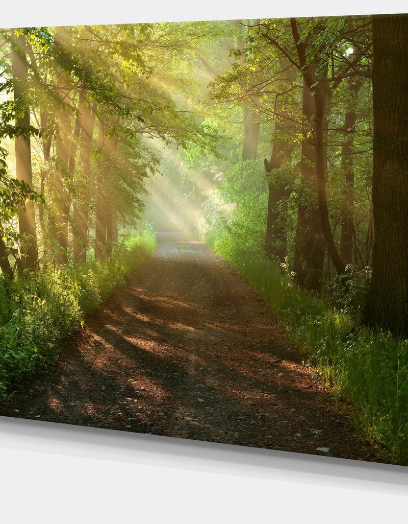 DesignQ Suns Peeks Into Forest - Landscape Photo Canvas Print