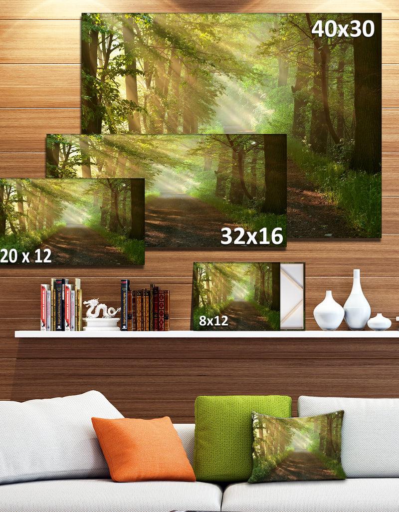 DesignQ Suns Peeks Into Forest - Landscape Photo Canvas Print