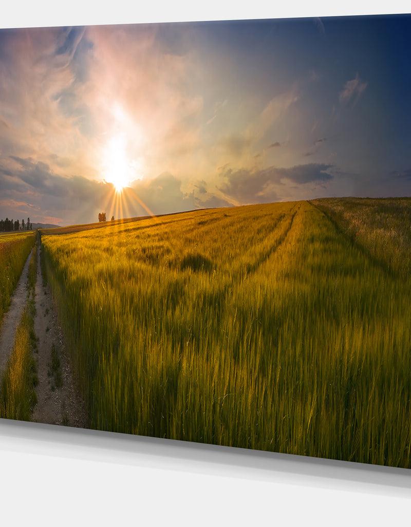 DesignQ Sunset In Field Of Grain Panorama - Large Landscape Canvas Art Print