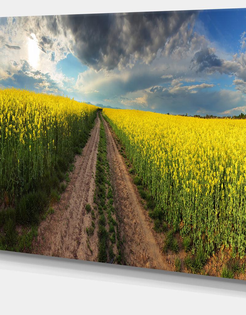 DesignQ Sunset Over Canola Panorama - Landscape Large Canvas Art Print