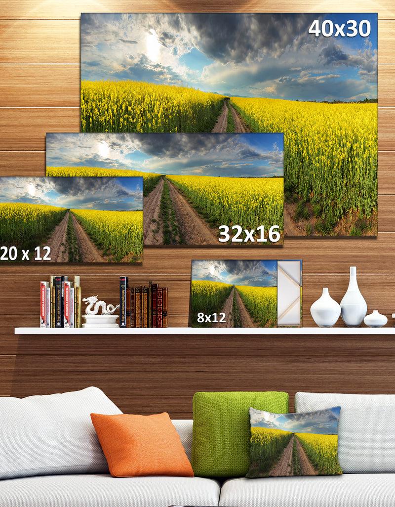 DesignQ Sunset Over Canola Panorama - Landscape Large Canvas Art Print