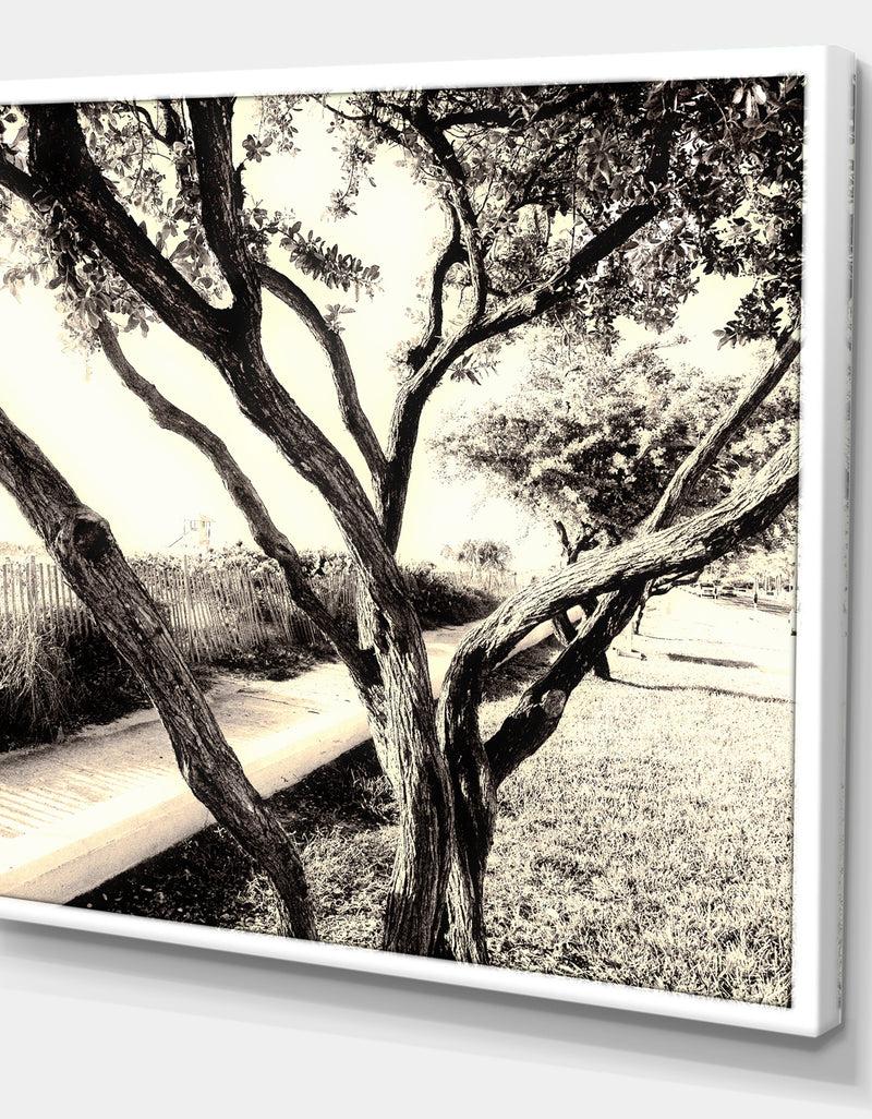 DesignQ Sunshine At The Beach - Cottage Canvas Art Print