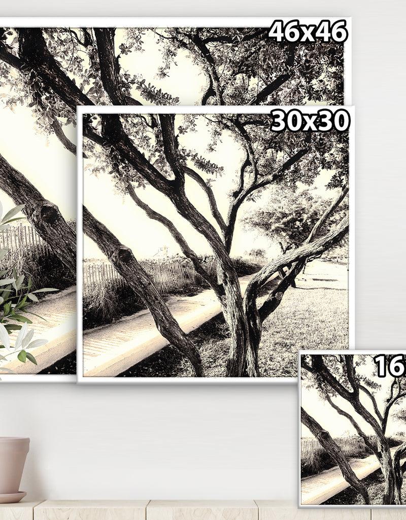 DesignQ Sunshine At The Beach - Cottage Canvas Art Print