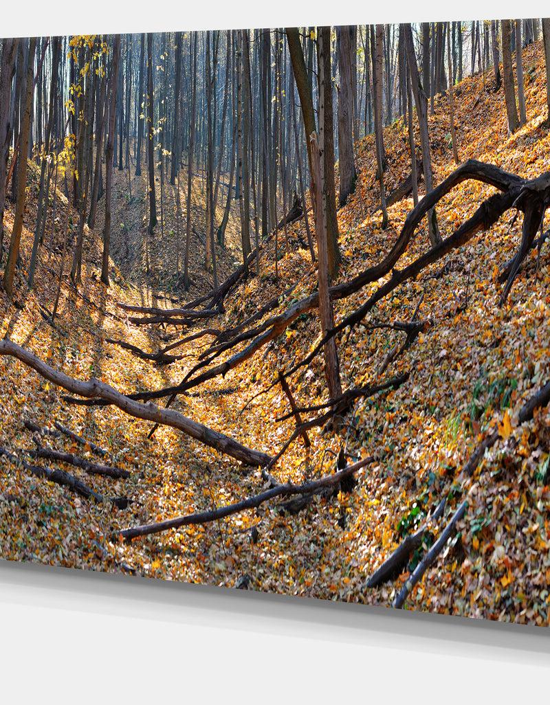 DesignQ Thick Autumn Forest Panorama - Landscape Wall Artwork