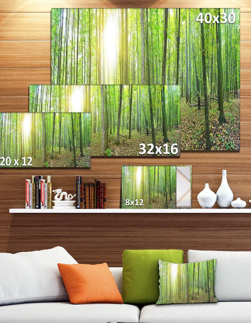 DesignQ Thick Green Forest Panorama - Large Landscape Canvas Art Print