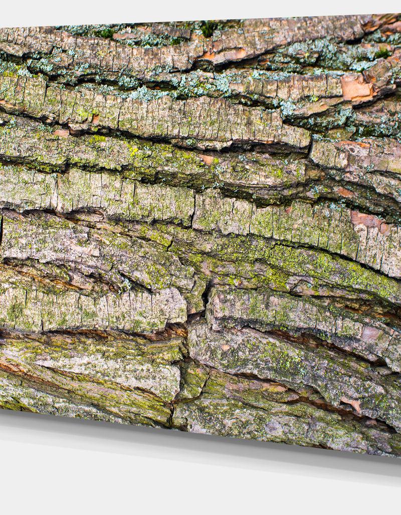 DesignQ Thick Tree Skin Close-Up - Modern Floral Large Canvas Art