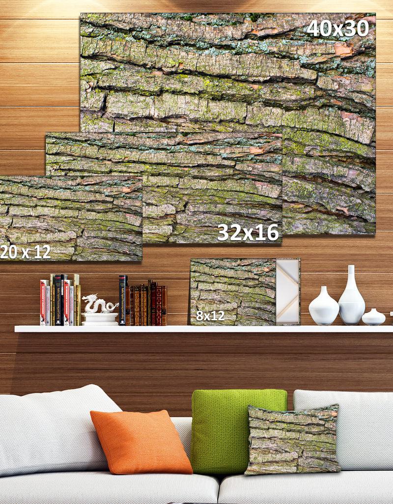 DesignQ Thick Tree Skin Close-Up - Modern Floral Large Canvas Art