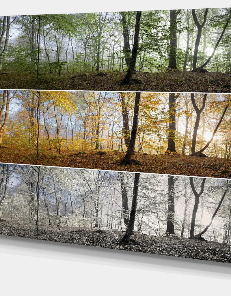 DesignQ Three Seasons Forest Panorama - Extra Large Landscape Canvas Art Print