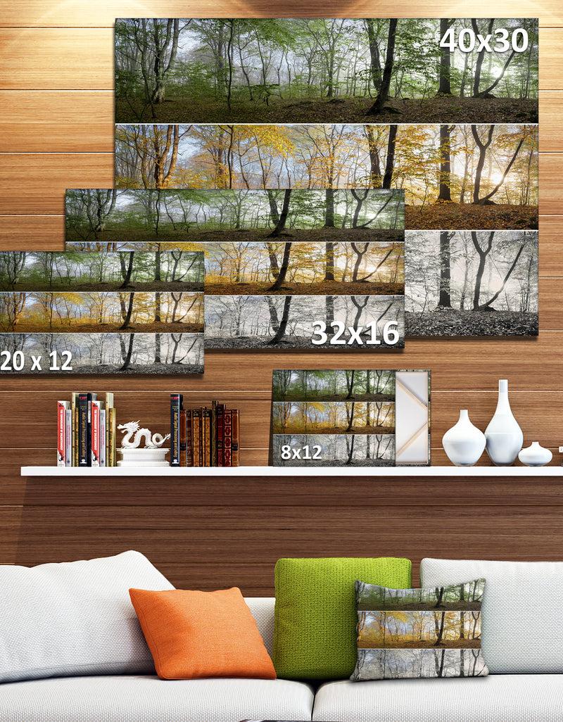 DesignQ Three Seasons Forest Panorama - Extra Large Landscape Canvas Art Print