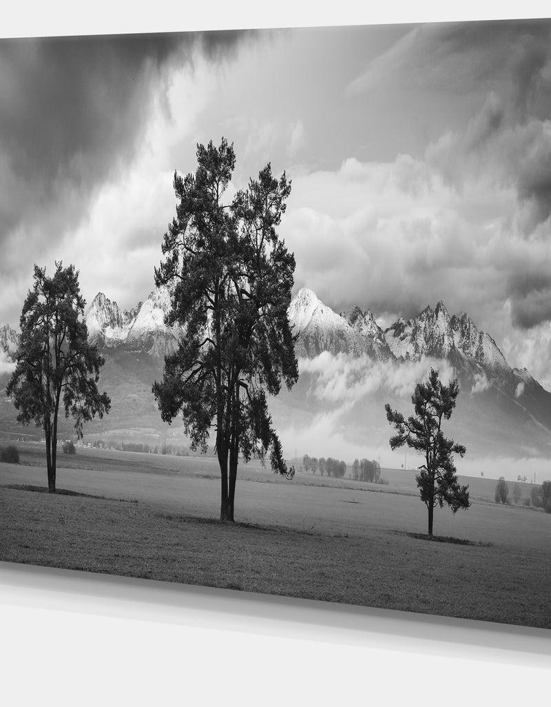 DesignQ Three Trees In Front Of Mountains - Landscape Artwork Canvas