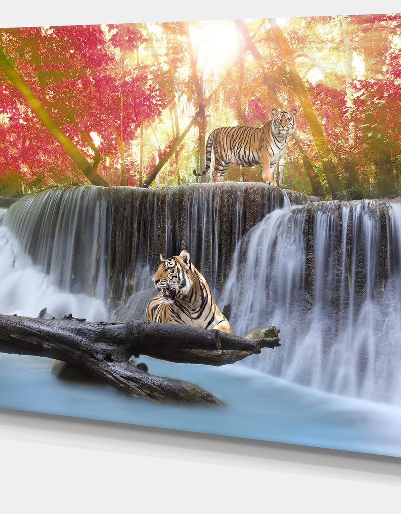 DesignQ Tiger In The Jungle - Photography Canvas Art Print