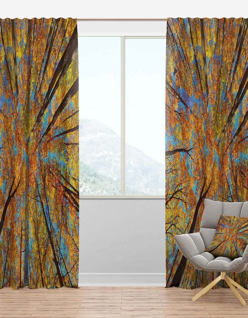 DesignQ Tree Tops in Autumn Forest - Forest Curtain Panels