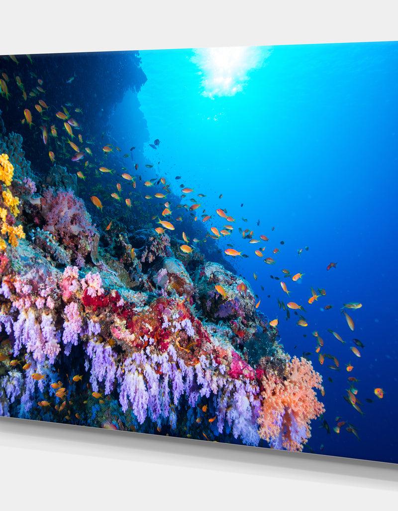DesignQ Tropical Colorful Coral Reef - Sea & Shore Nautical Photographic On Wrapped Canvas