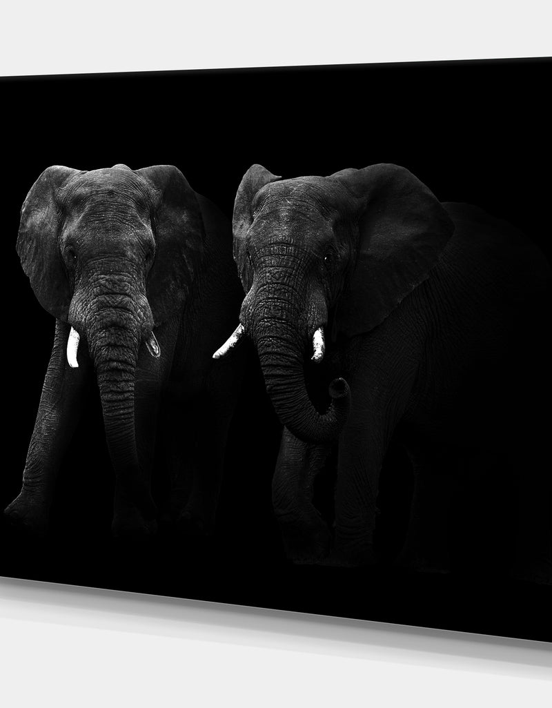 DesignQ Two African Elephant Bulls - Africa Animals Photography On Wrapped Canvas