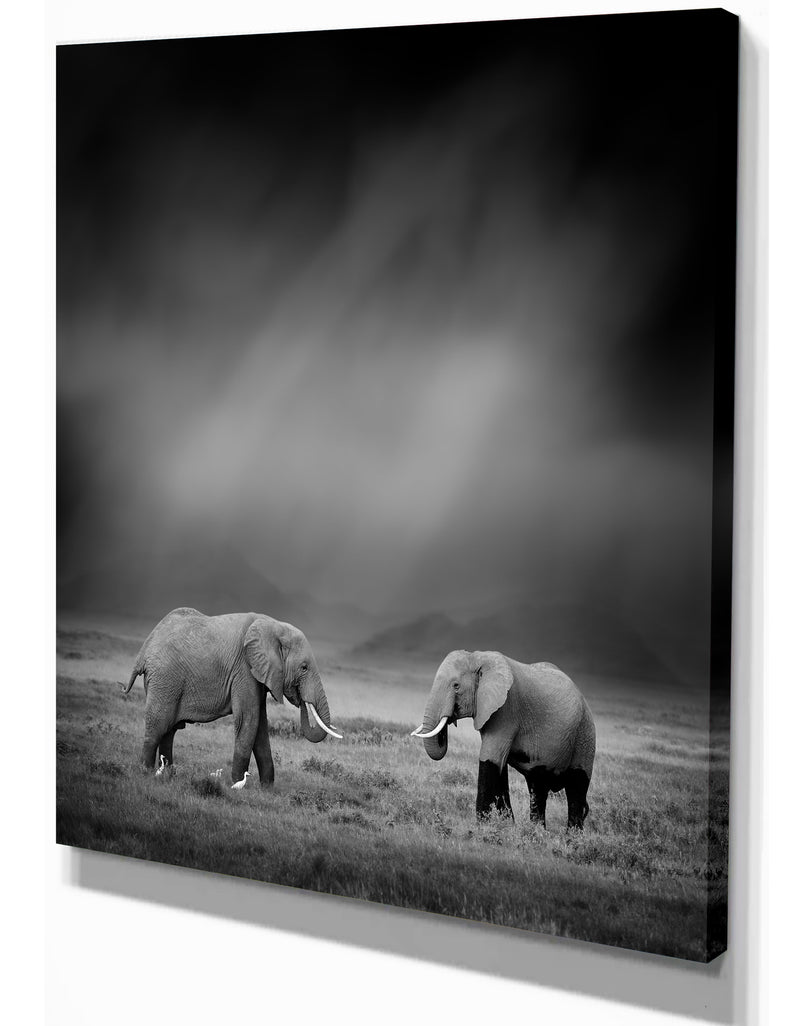 DesignQ Two African Elephant In Dark Background - Africa Animals Photography On Wrapped Canvas