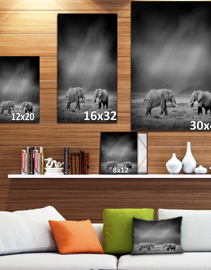 DesignQ Two African Elephant In Dark Background - Africa Animals Photography On Wrapped Canvas