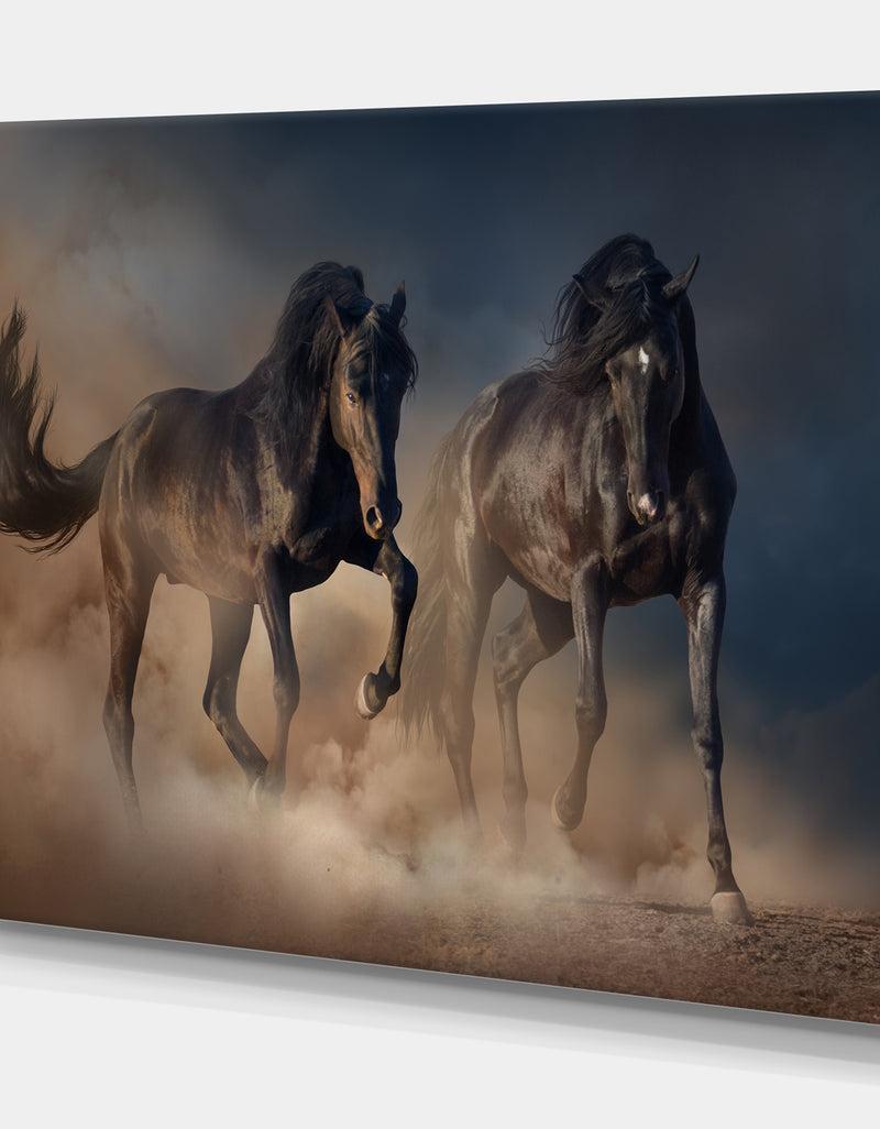 DesignQ Two Black Stallion Horse - Animals PhotographyPrint On Wrapped Canvas
